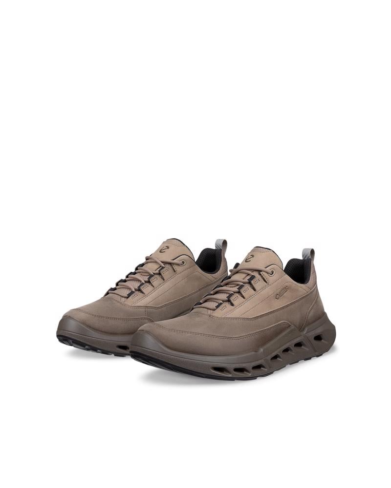 Brown ECCO BIOM 720 M LOW GTXS LEA