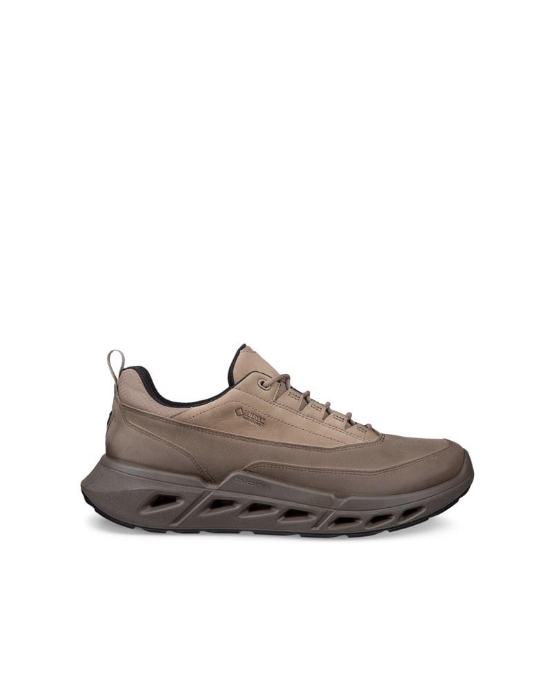 Brown ECCO BIOM 720 M LOW GTXS LEA