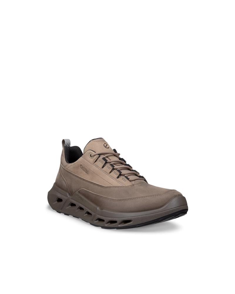 Brown ECCO BIOM 720 M LOW GTXS LEA