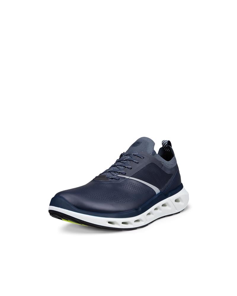 BLUE ECCO BIOM 720 M Low GTXS LEA