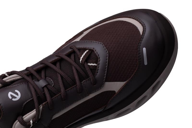 Brown ECCO BIOM 720 M GTXS LEA/TEX