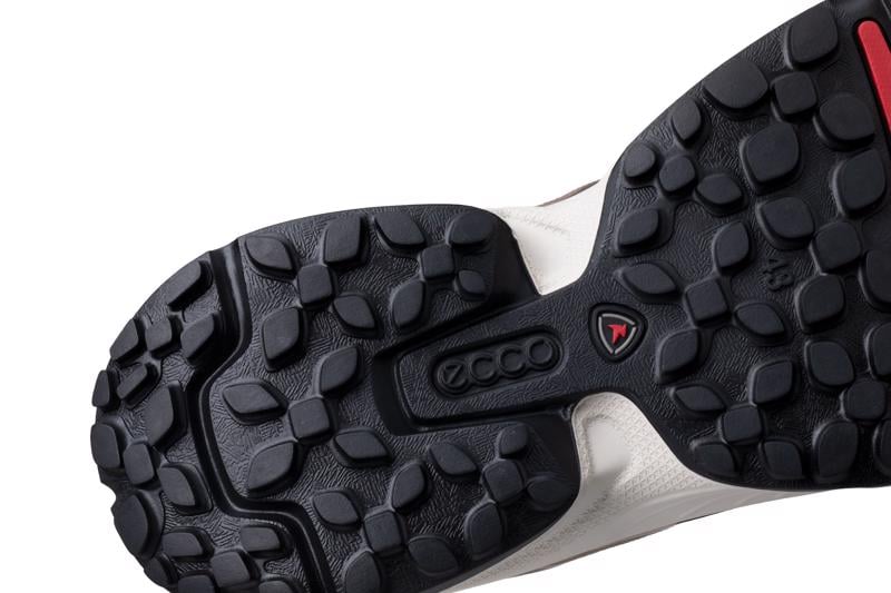 Brown ECCO RECEPTOR XP M GTX IF SHOE