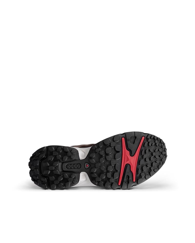 Brown ECCO RECEPTOR XP M GTX IF SHOE