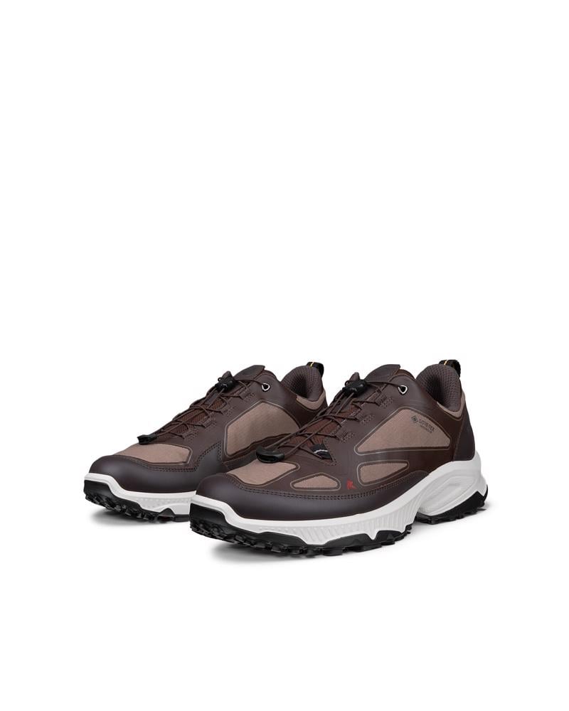 Brown ECCO RECEPTOR XP M GTX IF SHOE