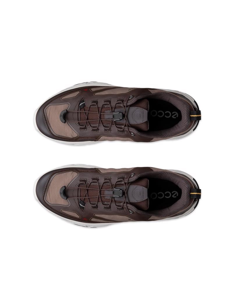 Brown ECCO RECEPTOR XP M GTX IF SHOE