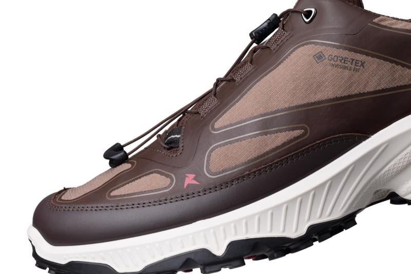 Brown ECCO RECEPTOR XP M GTX IF SHOE
