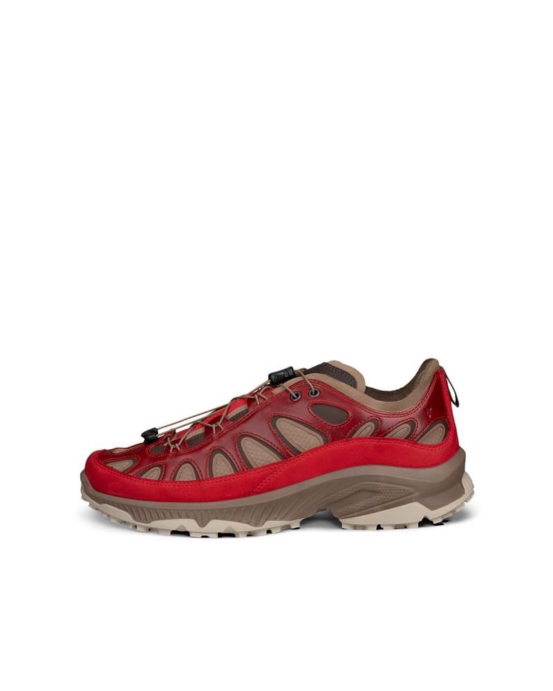 Red ECCO WM Receptor XP