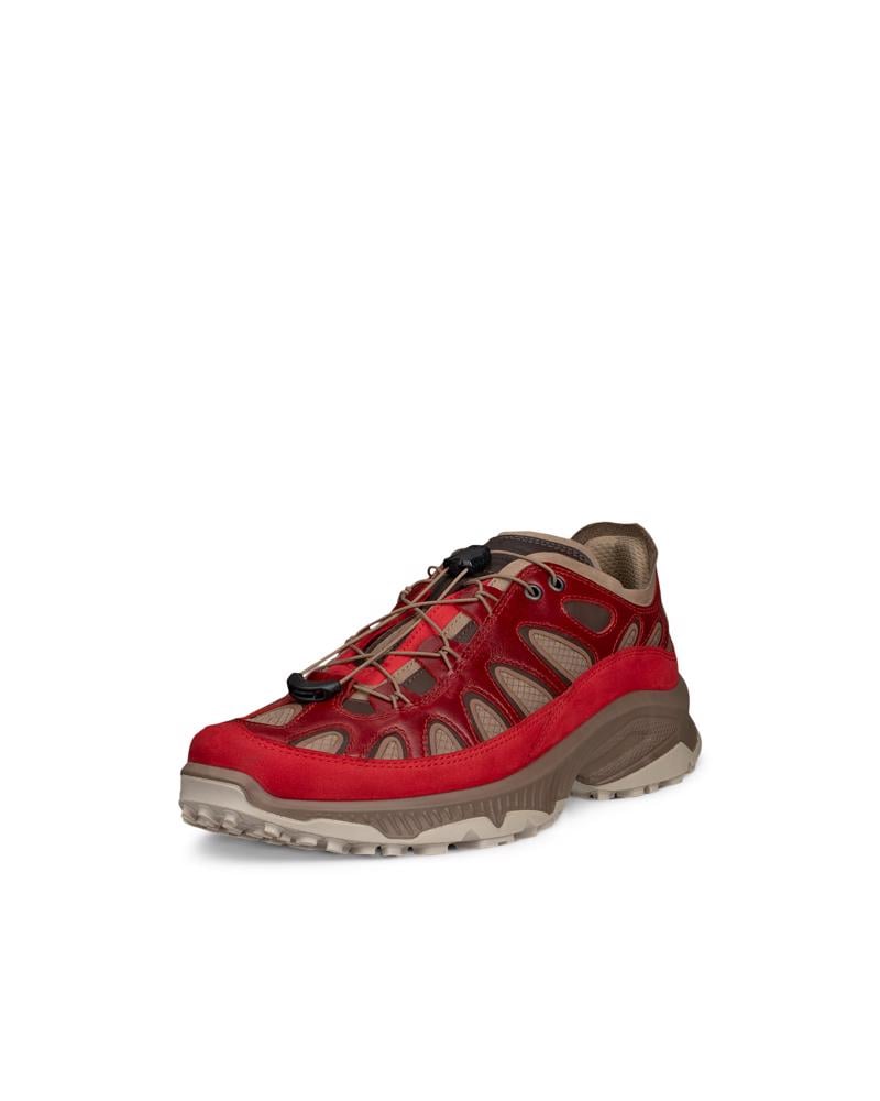 Red ECCO WM Receptor XP