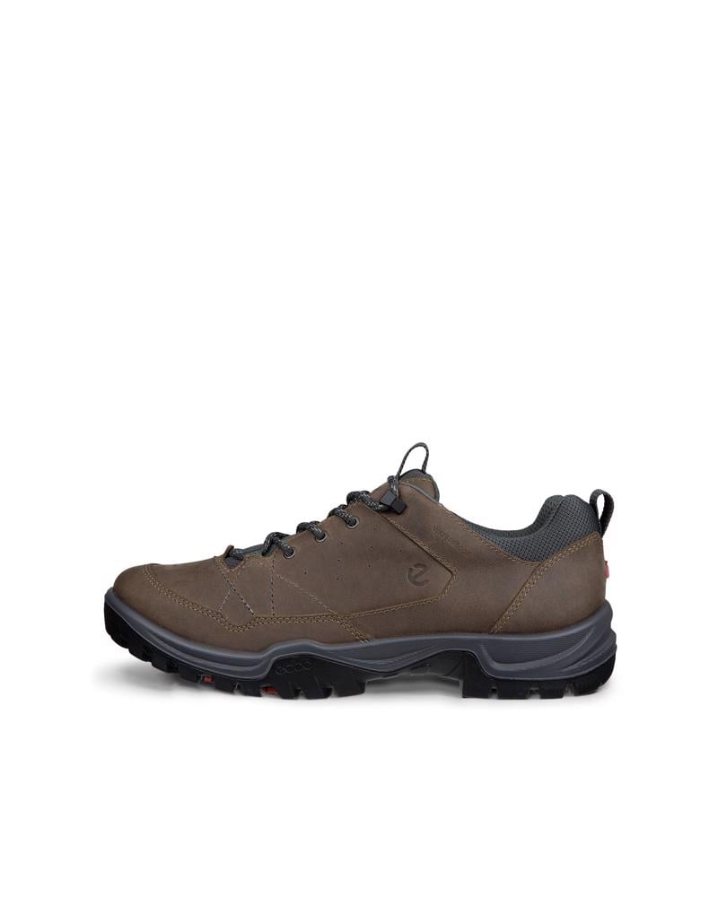 Brown ECCO RECEPTOR TREKK M WP SHOE