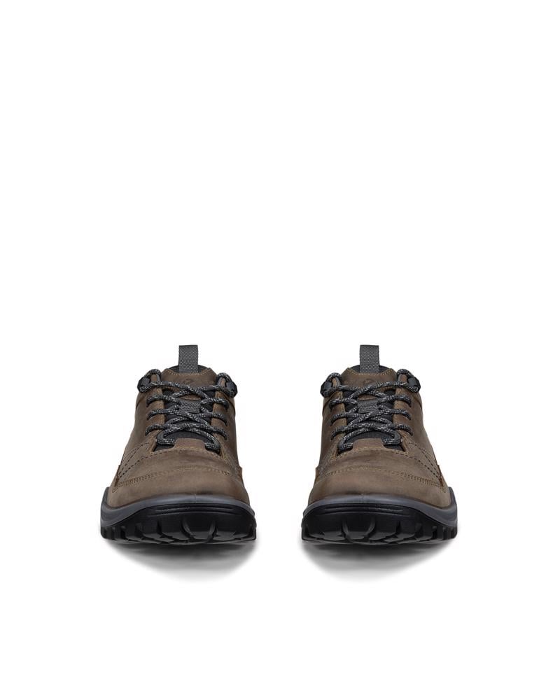 Brown ECCO RECEPTOR TREKK M WP SHOE