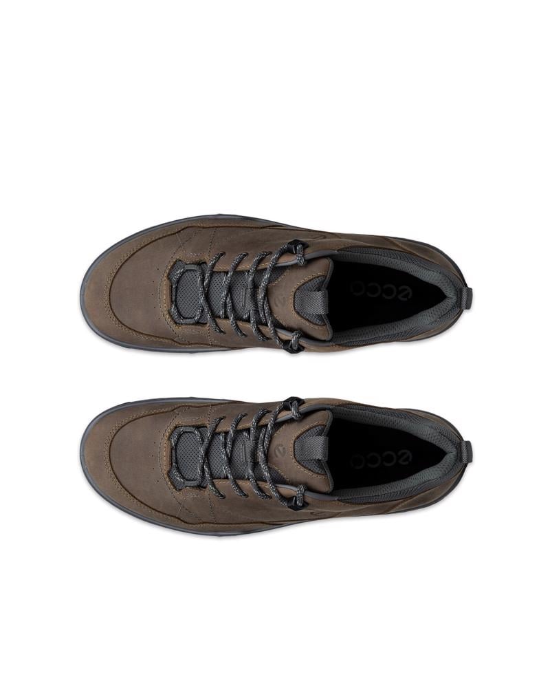 Brown ECCO RECEPTOR TREKK M WP SHOE