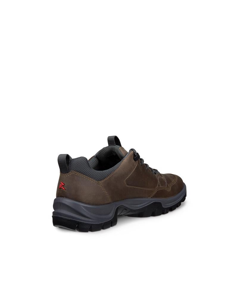 Brown ECCO RECEPTOR TREKK M WP SHOE