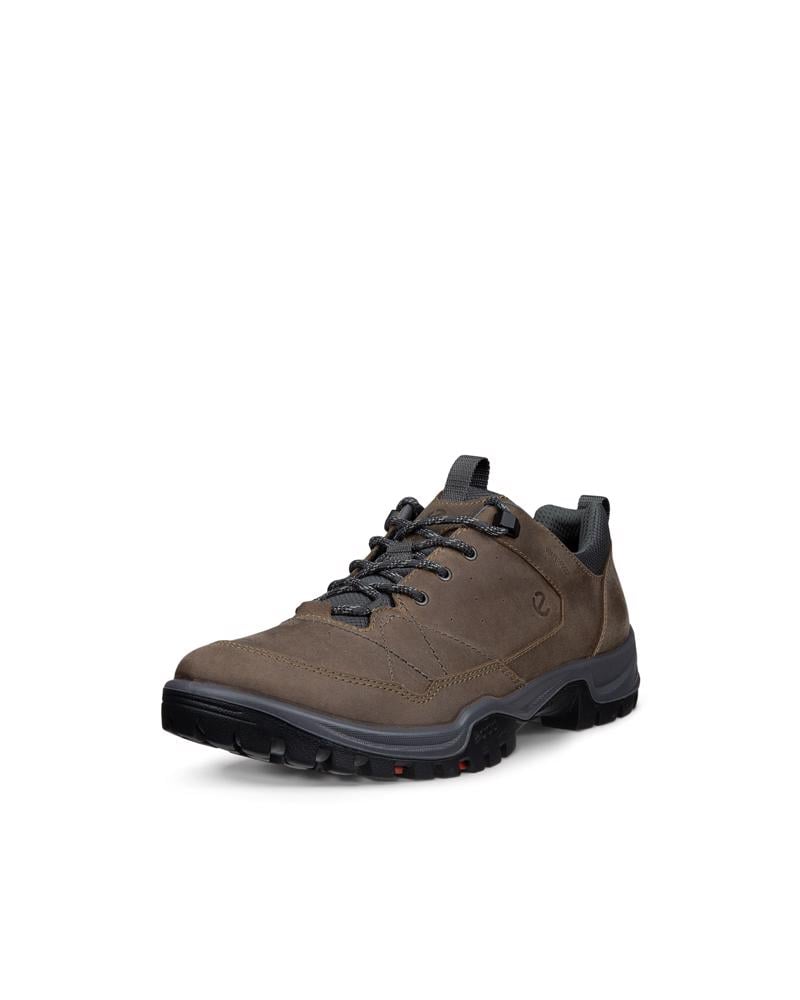 Brown ECCO RECEPTOR TREKK M WP SHOE