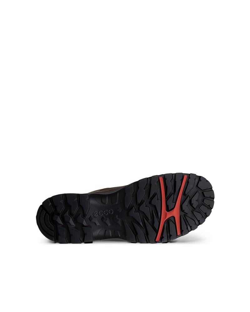 Brown ECCO RECEPTOR TREKK M WP SHOE