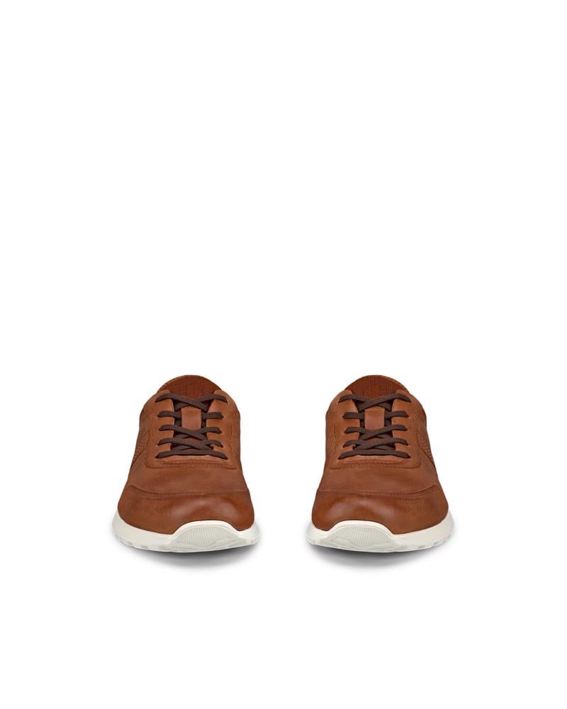 Brown ECCO CS25 M Lace Up