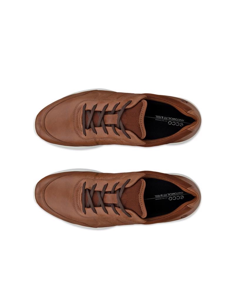 Brown ECCO CS25 M Lace Up