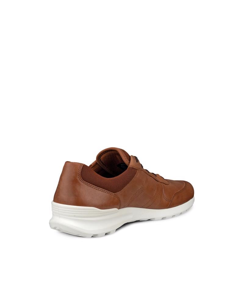 Brown ECCO CS25 M Lace Up