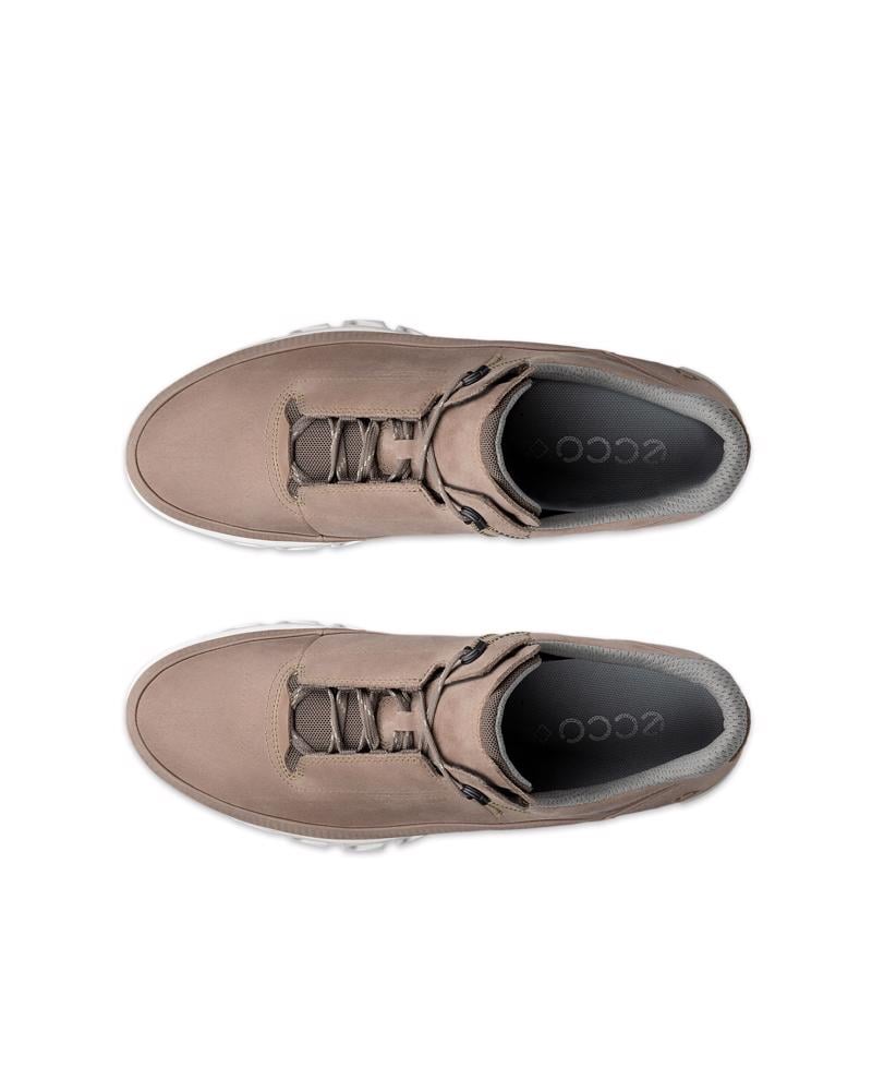 Brown ECCO MULTI-VENT M GTXS LEA