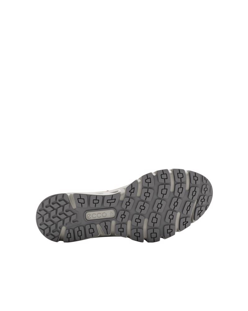 Brown ECCO MULTI-VENT M GTXS LEA