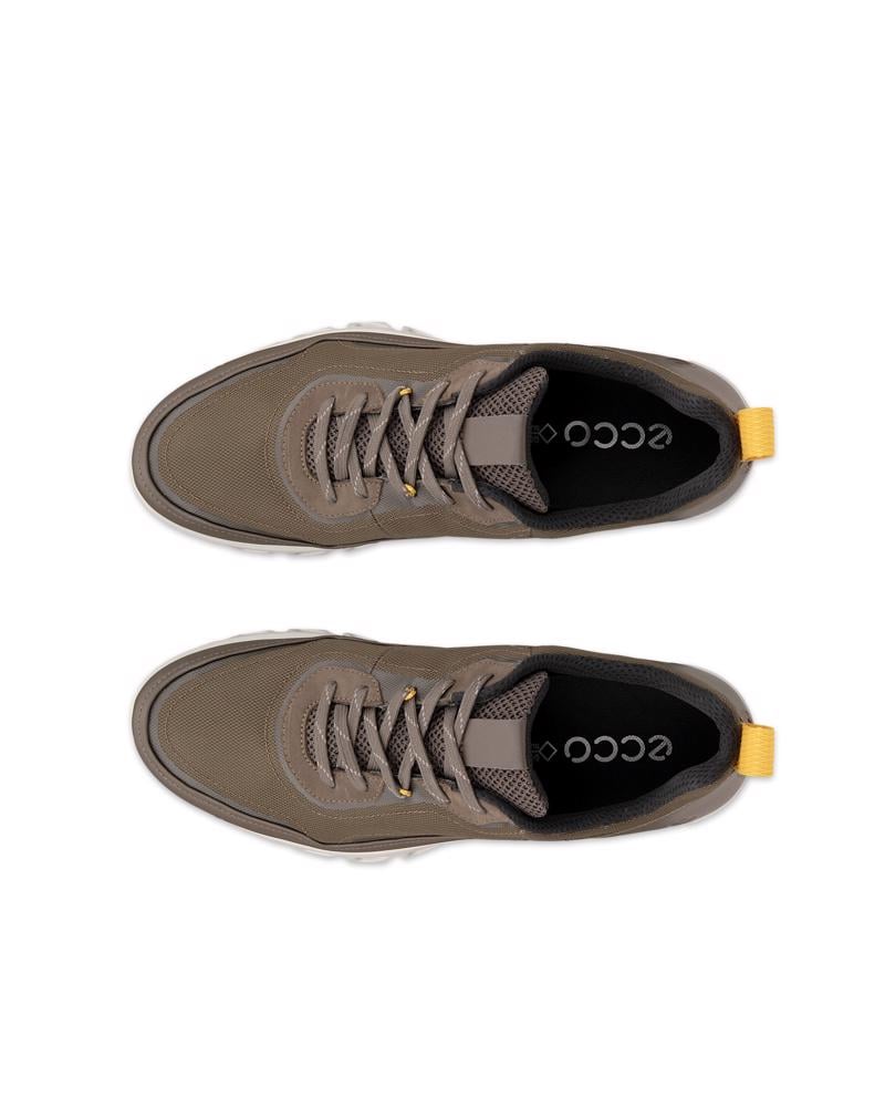 Brown ECCO MULTI-VENT M LOW GTXS TEX