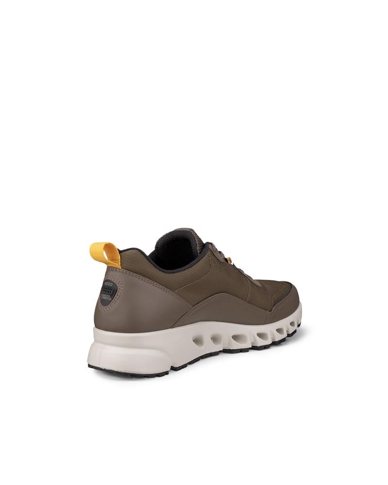 Brown ECCO MULTI-VENT M LOW GTXS TEX