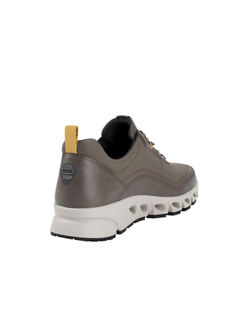 Brown ECCO MULTI-VENT M LOW GTXS TEX