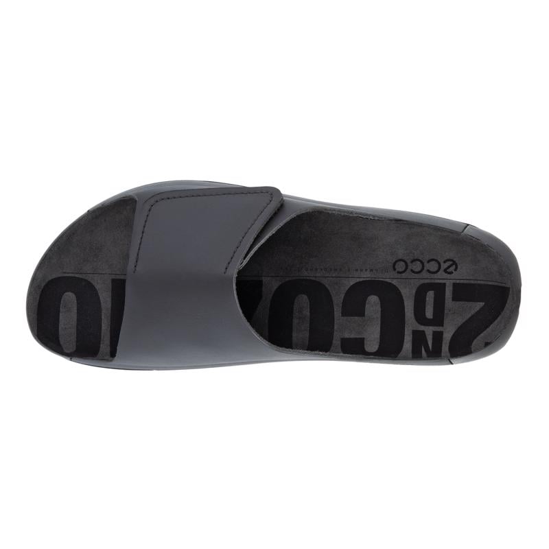 ECCO COZMO M TITANIUM | ECCO Trading Co. Ltd
