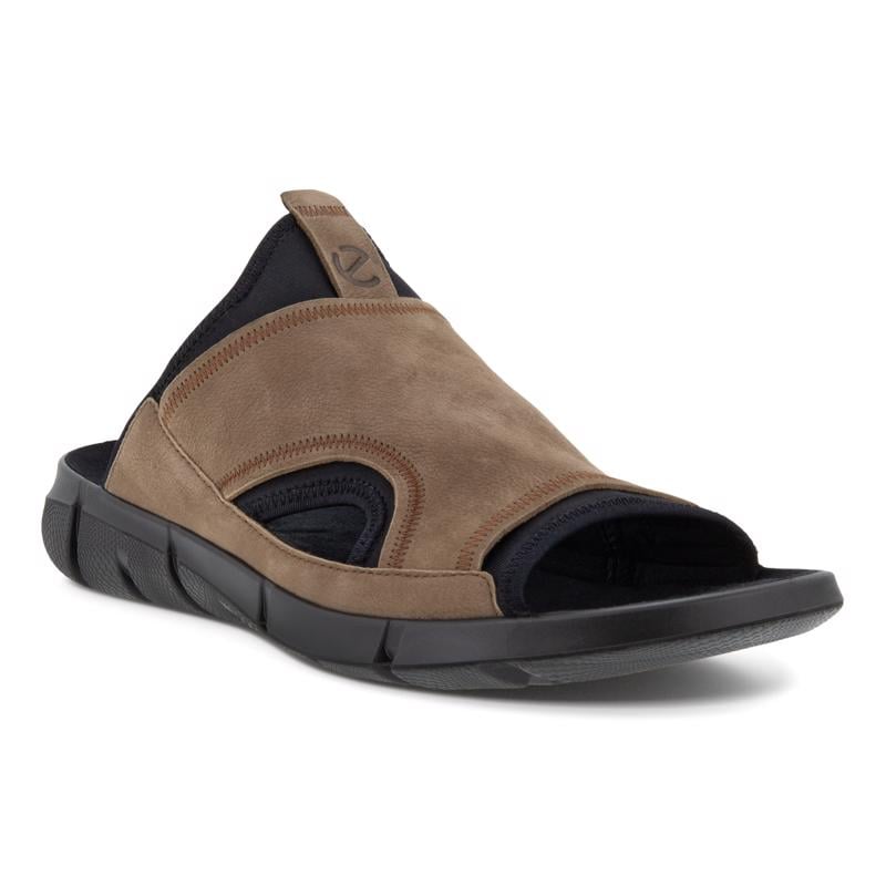 Brown Intrinsic Sandal M Cocoa Brown Black