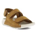 Product Color-Brown