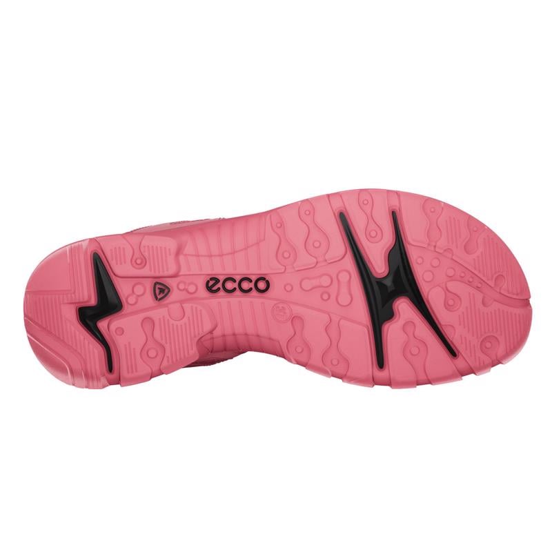 ECCO Offroad Bubble ECCO Trading Ltd