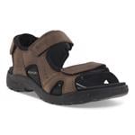 Product Color-Brown