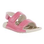 Product Color-Pink
