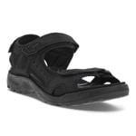 Product Color-BLACK