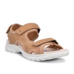Product Color-Brown