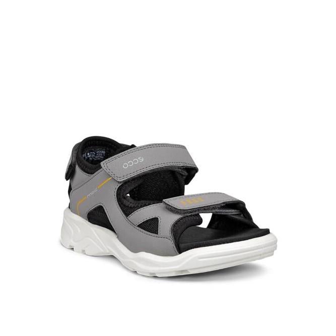 Grey ECCO Biom Raft Steel