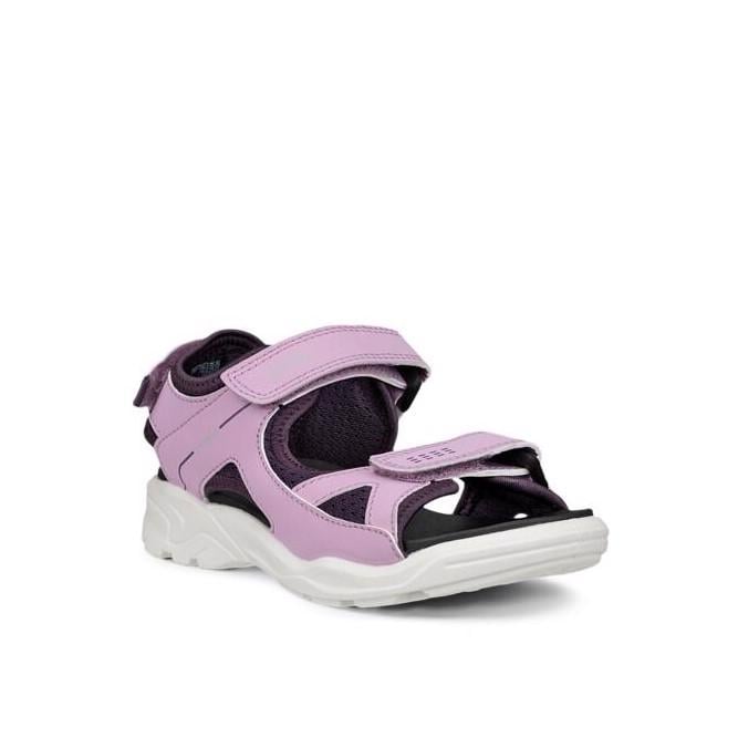 Purple ECCO Biom Raft Lavender Mist