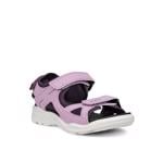 Product Color-Purple