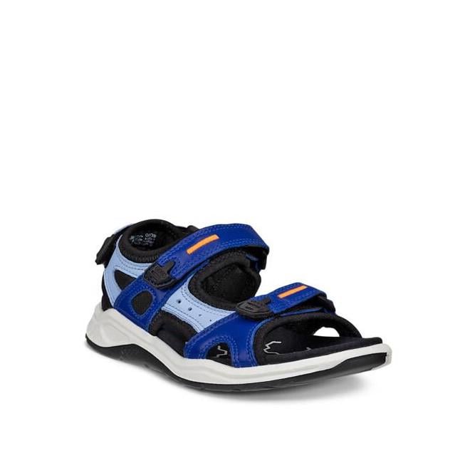 BLUE ECCO X-Trinsic K Virtual