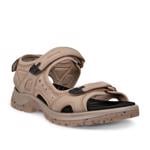 Product Color-Brown