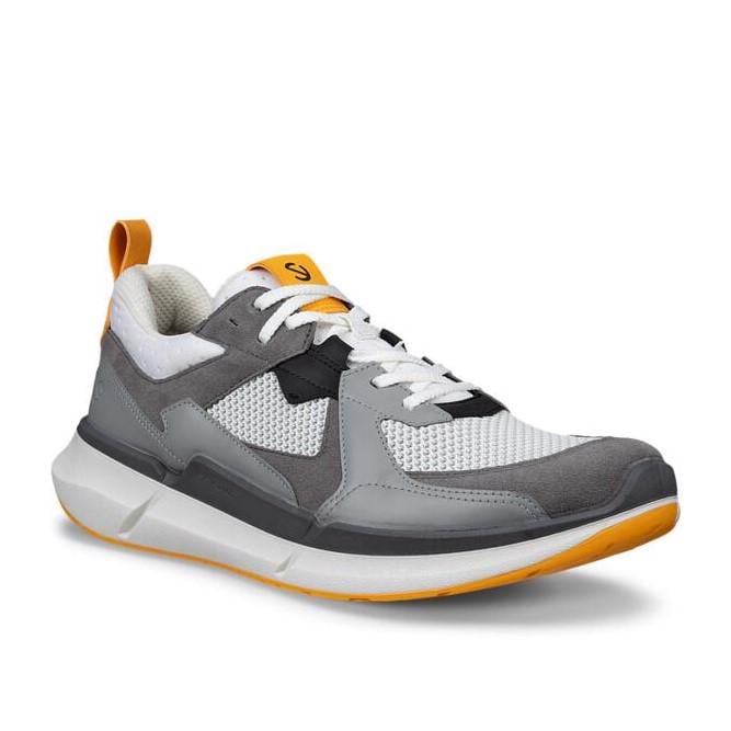 Grey ECCO Biom 2.2 M Wild Dove