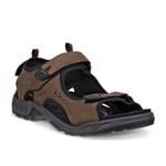 Product Color-Brown